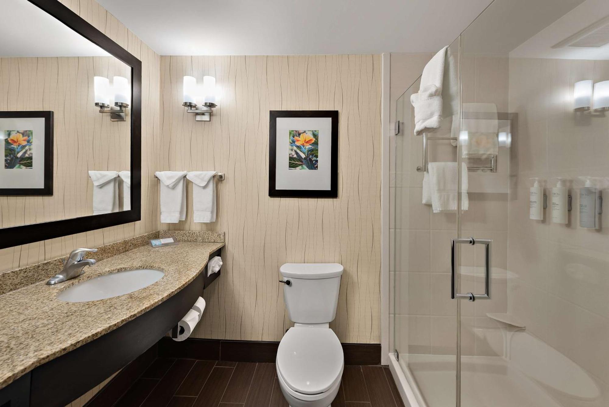 Hilton Garden Inn Findlay Bagian luar foto